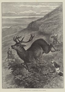 Het Wilde Westen van Engeland, het opjagen van een Hert op Exmoor